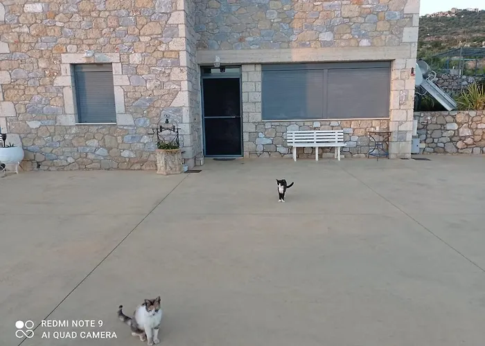 Aggelikis Cosy Shared House Kwatera prywatna Pirgos (Mani)