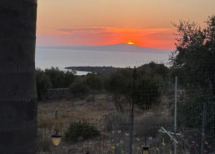 Homestay Aggelikis Cosy Shared House *